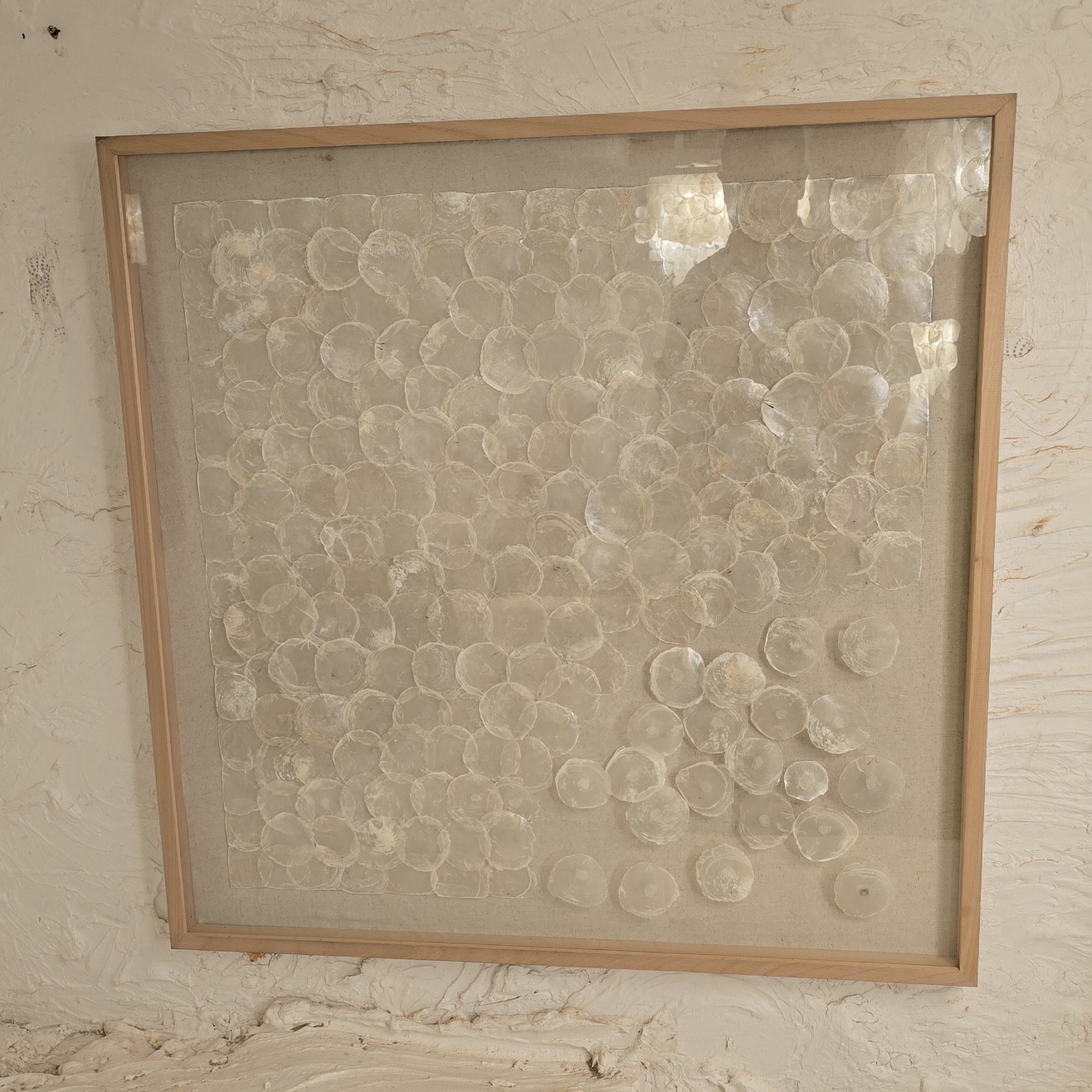 تابلو صدف طبیعی