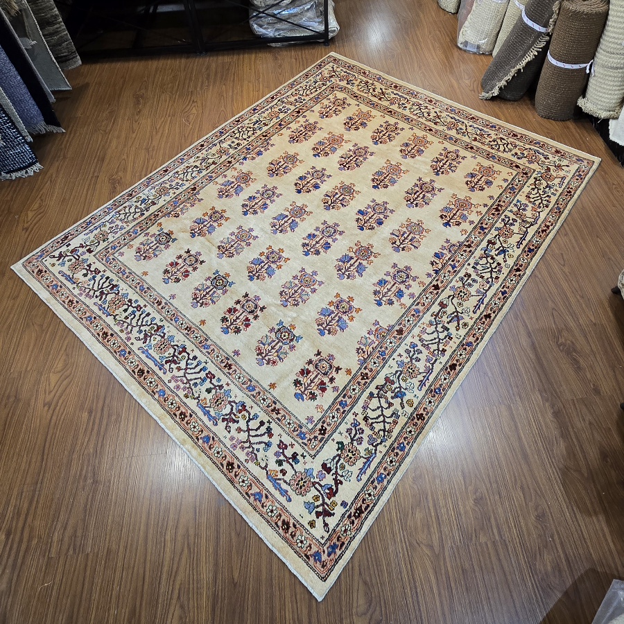 کشکولی گل شیپوری